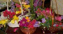 flower communion